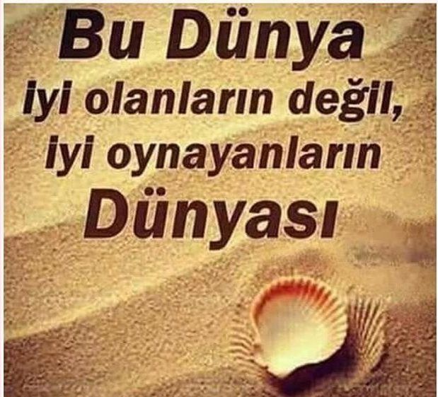 6d19be605ede5b0e437e7d2d44107354